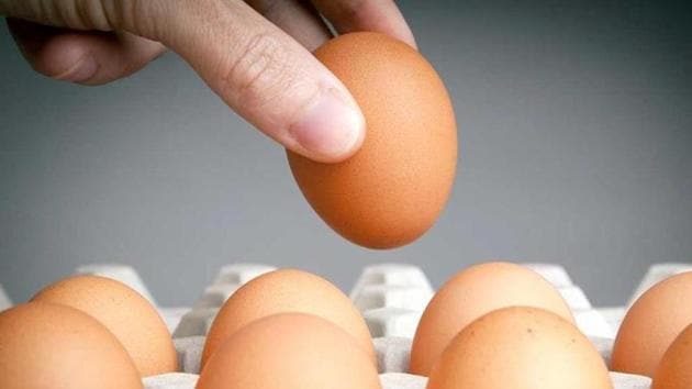In a bizarre incident in Uttar Pradesh’s Jaunpur district, an egg challenge cost a man dear as he had to pay with his life, police said on Monday.(Shutterstock) In a bizarre incident in Uttar Pradesh’s Jaunpur district, an egg challenge cost a man dear as he had to pay with his life, police said on Monday.(Shutterstock)