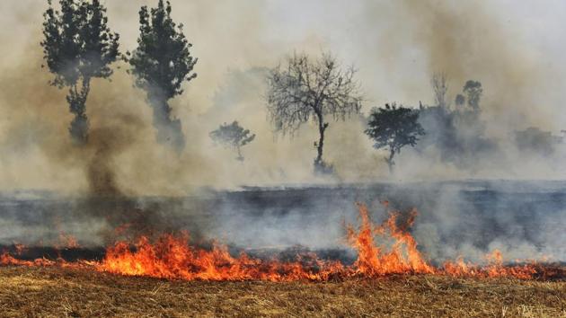 Punjab on Monday reported the highest number of farm fires this season – 5,953 in a single day.(HT File Photo)
