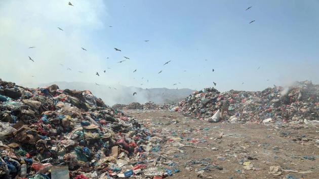 Mohammed Jassar, the beleaguered head of Taez’s department of sanitation, said civil servants are doing their best to clean the city. “The department is now working two shifts, one in the morning, and one in the evening... but the garbage keeps piling up and the department lack tools and resources,” he said despondently. He urged the international community to come to the aid of the Yemeni people, saying that only “if the city is cleaned will the spread of illnesses decrease”. (AHMAD AL-BASHA / AFP)