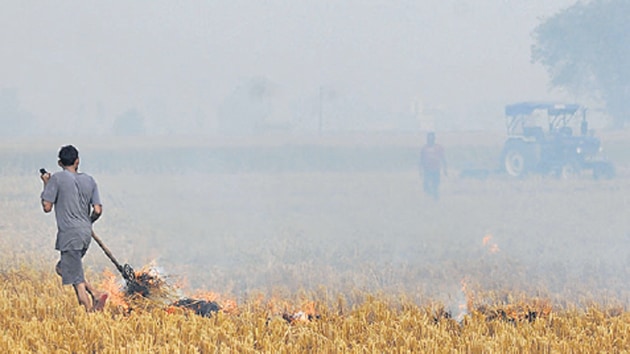 A man burns paddy stubble on a farm in Amritsar.(Reuters Photo) A man burns paddy stubble on a farm in Amritsar.(Reuters Photo)