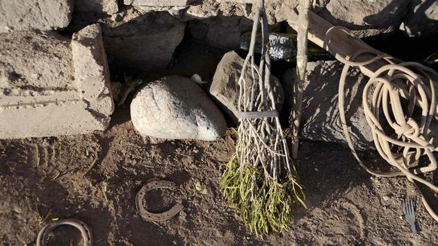 “About 5 percent of land in Mendoza is dependent on irrigation, and that’s where 95 percent of the population lives,” Rosales, the agricultural engineer, said. “Everything else is dry, depending on rain or the weather cycles. All they have there is sheep, goat and horse-breeding, there is no other activity possible.” (Andres Larrovere / AFP) “About 5 percent of land in Mendoza is dependent on irrigation, and that’s where 95 percent of the population lives,” Rosales, the agricultural engineer, said. “Everything else is dry, depending on rain or the weather cycles. All they have there is sheep, goat and horse-breeding, there is no other activity possible.” (Andres Larrovere / AFP)