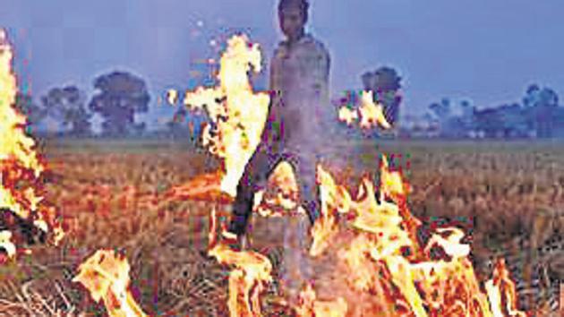 A farmer burns paddy stubble. (Raj K Raj/HT PHOTO) A farmer burns paddy stubble. (Raj K Raj/HT PHOTO)