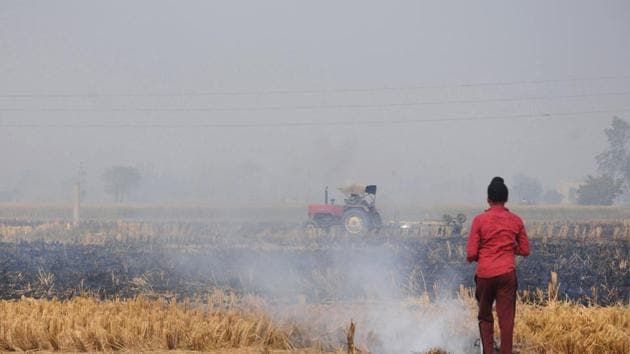 A farmer burns paddy stubble at a farm on the outskirts of Amritsar, Wednesday, Nov. 6, 2019.(PTI)