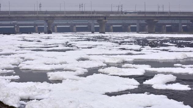 The water of the river was very toxic and hazardous claimed a rower. “The water is very dirty from the past few days in the Yamuna. No one is doing anything to clean it up. Earlier we use to take bath in the river and drink its water. Now, no one comes here,” the rower said. (Mohd Zakir / HT Photo)