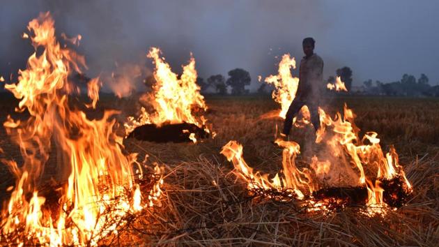 To address the problem of the stubble burning, an India born NRI businessman has proposed to set up 1,000 MW biomass energy generating plants in his home state Punjab.(Raj K Raj/HT PHOTO)