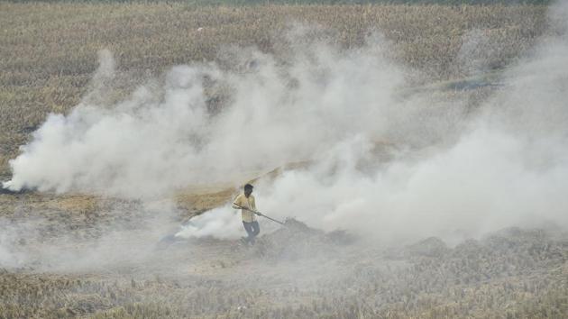 An official said that north-westerly winds have blown the smoke created because of stubble burning in Punjab and Haryana from the northern plains because of a developing cyclonic depression over the Bay of Bengal. (PTI photo) An official said that north-westerly winds have blown the smoke created because of stubble burning in Punjab and Haryana from the northern plains because of a developing cyclonic depression over the Bay of Bengal. (PTI photo)