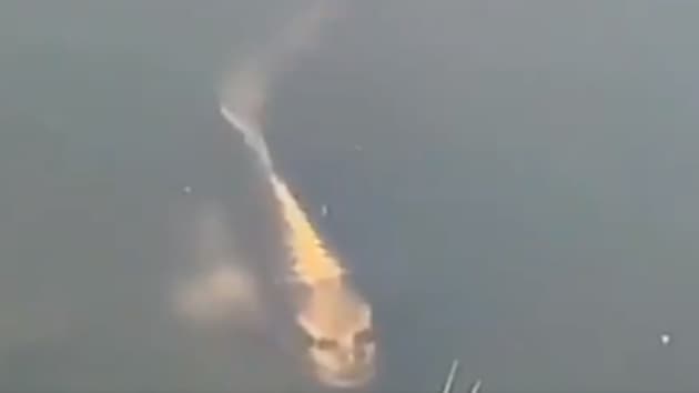 Fish with 'human-like' face spotted in China. Viral video creeps