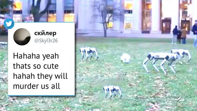 The video of ‘mini cheetah’ robots are being shared on various social media platforms. (YouTube/Biomimetics MIT) The video of ‘mini cheetah’ robots are being shared on various social media platforms. (YouTube/Biomimetics MIT)
