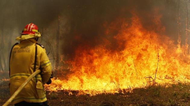Firefighters work to contain a bushfire along Old Bar road. Wildfires razing Australia's drought-stricken east coast have left two people dead and several missing, more than 30 injured and over 150 homes destroyed, officials said Saturday. (AP) Firefighters work to contain a bushfire along Old Bar road. Wildfires razing Australia's drought-stricken east coast have left two people dead and several missing, more than 30 injured and over 150 homes destroyed, officials said Saturday. (AP)
