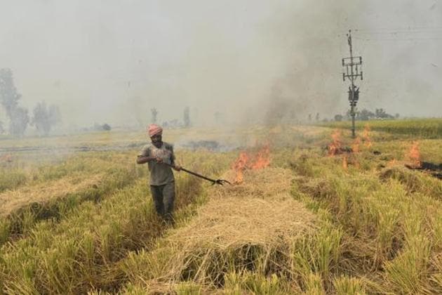 A farmer sets stubble on fire in a field at Burj village in Chabal, Tarn Taran district of Punjab. (HT PHOTO.) A farmer sets stubble on fire in a field at Burj village in Chabal, Tarn Taran district of Punjab. (HT PHOTO.)