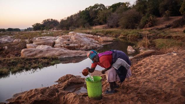 Ndaheni Mashele, 66, collects water from riverbank of the Klein Letaba River. According to Eleanor Muller, who heads a non-profit organisation Transfrontier Parks Destinations that helps the harvesters, archaeologists have confirmed that on that exact site, salt has been harvested using the same technique for the last 2,000 years. “The sacred salt has been a central point of importance for traditional healers in South Africa for centuries and still today,” Muller said. (Michele Spatari / AFP) Ndaheni Mashele, 66, collects water from riverbank of the Klein Letaba River. According to Eleanor Muller, who heads a non-profit organisation Transfrontier Parks Destinations that helps the harvesters, archaeologists have confirmed that on that exact site, salt has been harvested using the same technique for the last 2,000 years. “The sacred salt has been a central point of importance for traditional healers in South Africa for centuries and still today,” Muller said. (Michele Spatari / AFP)