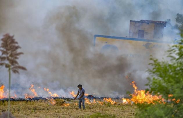 The government has already decided to provide ₹1,000 per acre operational charges for crop residue management, besides ₹100 per quintal of paddy purchased (non-Basmati) at mandis for farmers who would not burn the crop residue. (PTI) The government has already decided to provide ₹1,000 per acre operational charges for crop residue management, besides ₹100 per quintal of paddy purchased (non-Basmati) at mandis for farmers who would not burn the crop residue. (PTI)