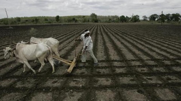 The RSLDB lends to farmers at an interest rate of 12.1 percent of which the government gives a 5% interest subvention or grant to the bank. So effectively, farmers get the loan at 7.1 percent. (Rajanish Kakade/HT File Photo) The RSLDB lends to farmers at an interest rate of 12.1 percent of which the government gives a 5% interest subvention or grant to the bank. So effectively, farmers get the loan at 7.1 percent. (Rajanish Kakade/HT File Photo)