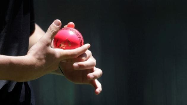 A pink cricket ball is used during a training session. (REUTERS) A pink cricket ball is used during a training session. (REUTERS)