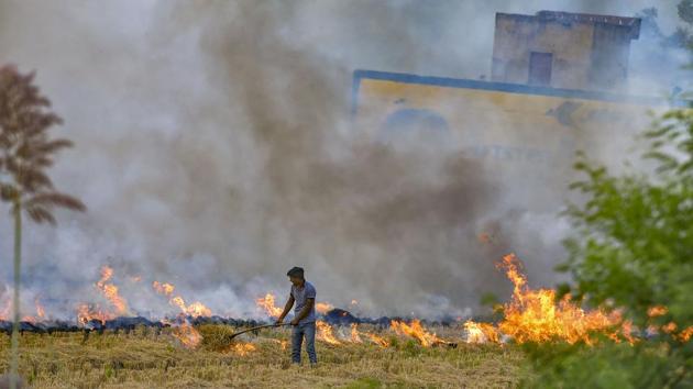The Punjab government on Wednesday announced Rs 2,500 per acre as compensation to small and marginal farmers who did not burn crop residue. (PTI Photo) The Punjab government on Wednesday announced Rs 2,500 per acre as compensation to small and marginal farmers who did not burn crop residue. (PTI Photo)