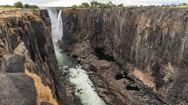 A photograph of the Victoria Falls, a UNESCO world heritage site measuring 108 metres high and almost 2km wide has recorded the lowest levels in recent times due to a severe drought. The transfer of animals will start during the rain season, when pastures and foliage start flourishing. The rain season usually kicks off from around the middle of November. (ZINYANGE AUNTONY / AFP)
