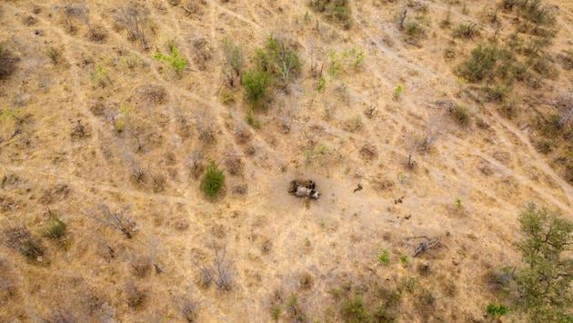 An aerial photograph of a carcass of an elephant that succumbed to drought in the Hwange National Park. Botswana last month announced that more than 100 elephants had died in two months in its famed Chobe National Park. Food shortages for people have been amplified by the combined effects of drought and the country’s enduring economic crisis. (ZINYANGE AUNTONY / AFP)