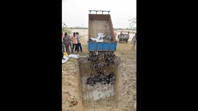 The dead birds being buried at the Sambhar Lake, in Jaipur, Rajasthan. Thousands of migratory birds of about ten species were found dead around Sambhar Lake, the country’s largest inland saltwater lake near Jaipur, sending shock waves among locals and authorities. (Prabhakar Sharma / HT Photo) The dead birds being buried at the Sambhar Lake, in Jaipur, Rajasthan. Thousands of migratory birds of about ten species were found dead around Sambhar Lake, the country’s largest inland saltwater lake near Jaipur, sending shock waves among locals and authorities. (Prabhakar Sharma / HT Photo)