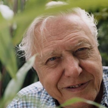 Sir David Attenborough will be conferred with the Indira Gandhi Prize for Peace, Disarmament and Development for 2019.(File Photo)