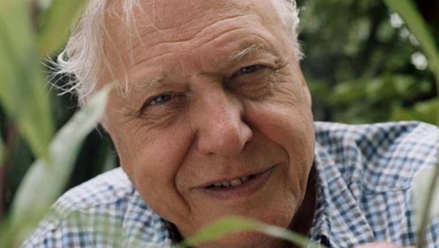Sir David Attenborough will be conferred with the Indira Gandhi Prize for Peace, Disarmament and Development for 2019.(File Photo)