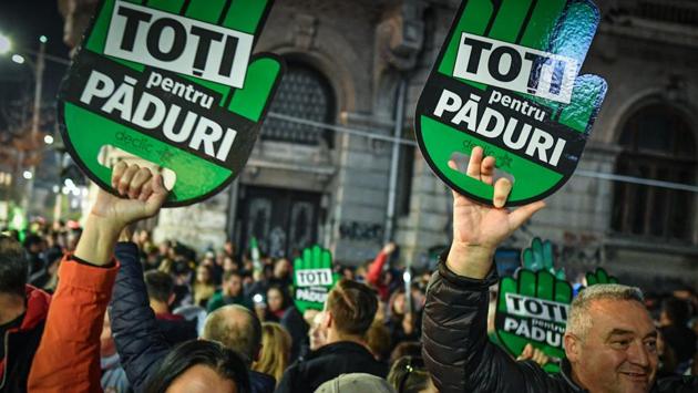 Demonstrators hold placards reading "All for the forests" during a protest. Private land ownership accounts for about half of all forests. “The problem is with the private landowners who bought or recovered forests after the fall of the communist regime and think they can do whatever they want,” ranger Dirig says.  (Daniel MIHAILESCU / AFP) 
