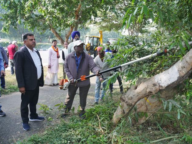 The UT forest department had approved the felling of 472 trees,(HT FILE)