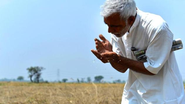 A five-member team from the central government will be in Maharashtra from Friday to Sunday, to assess agriculture losses in a bid to finalise compensation for farmers. (REPRESENTATIVE PHOTO) A five-member team from the central government will be in Maharashtra from Friday to Sunday, to assess agriculture losses in a bid to finalise compensation for farmers. (REPRESENTATIVE PHOTO)