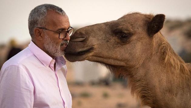 Saharawi camel owner Habiboullah Dlimi poses with one of his animals in the desert near Dakhla in Morocco-administered Western Sahara. His animals roam free in the desert and are milked as camels always have been, by hand, at dawn and dusk. When camels “feed on wild plants and walk all day, the milk is much better,” said the 59-year-old herder, rhapsodising about the benefits of the nutrient-rich drink, known as the “source of life” for nomads. But Dlimi no longer lives with his flock. (FADEL SENNA / AFP)
