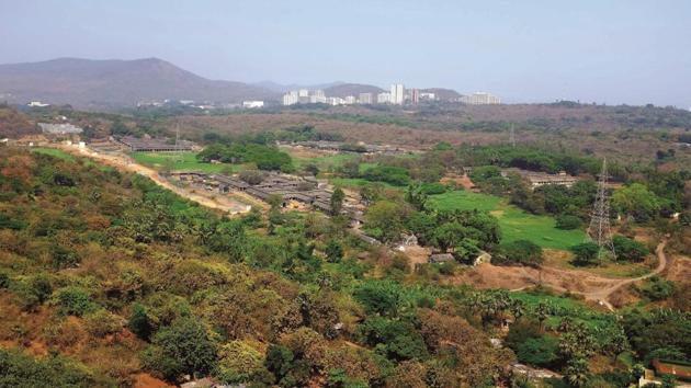 Aarey Milk Colony was established in 1949 as a government dairy farm on 1,287 hectares of land.(HT File)