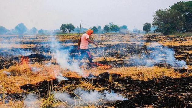 Punjab saw more farm fires this time than last year. Its farmers are being blamed for the air pollution crisis in north India in the past few weeks.(HT Photo) Punjab saw more farm fires this time than last year. Its farmers are being blamed for the air pollution crisis in north India in the past few weeks.(HT Photo)