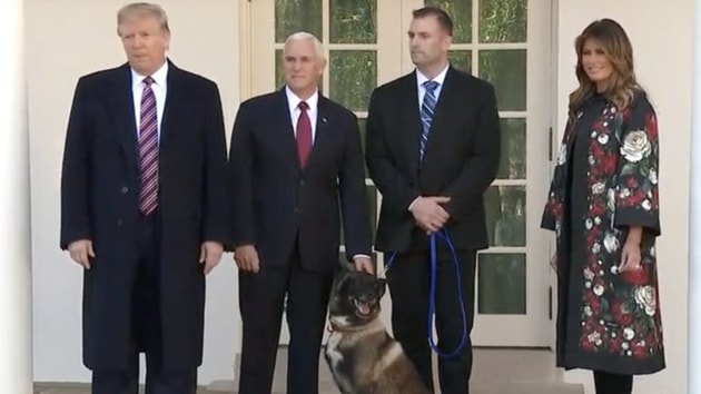 Conan, the military service dog, helped hunt down Islamic State leader Abu Bakr al-Baghdadi. (Screengrab from video posted on Donald Trump’s Twitter handle.) Conan, the military service dog, helped hunt down Islamic State leader Abu Bakr al-Baghdadi. (Screengrab from video posted on Donald Trump’s Twitter handle.)