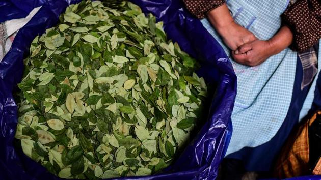 A woman sells coca leaves at the market in La Paz. “He was our father, our father,” wailed Sonia Pena, 51, at a roadside camp where hundreds of protesters retreated after a violent confrontation with police on November 15 that left nine people dead. Mostly farmers from Morales’ political birthplace in the central coca-growing region of Chapare, the protesters are demanding the resignation of caretaker President Jeanine Anez. (Ronaldo Schemidt / AFP) A woman sells coca leaves at the market in La Paz. “He was our father, our father,” wailed Sonia Pena, 51, at a roadside camp where hundreds of protesters retreated after a violent confrontation with police on November 15 that left nine people dead. Mostly farmers from Morales’ political birthplace in the central coca-growing region of Chapare, the protesters are demanding the resignation of caretaker President Jeanine Anez. (Ronaldo Schemidt / AFP)