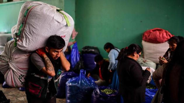A man carries a sack of coca leaves. A day after the nine farmers were shot dead, Anez issued a presidential decree granting security forces immunity from prosecution for acts of violence, fuelling the farmers’ rage. At least 32 people have been killed in weeks of unrest over Morales, who after nearly 14 years as president sought a fourth term in the October 20 ballot. (Ronaldo Schemidt / AFP) A man carries a sack of coca leaves. A day after the nine farmers were shot dead, Anez issued a presidential decree granting security forces immunity from prosecution for acts of violence, fuelling the farmers’ rage. At least 32 people have been killed in weeks of unrest over Morales, who after nearly 14 years as president sought a fourth term in the October 20 ballot. (Ronaldo Schemidt / AFP)