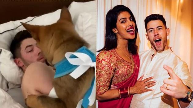 Priyanka Chopra gave Nick Jonas a pleasant surprise ahead of their first wedding anniversary.