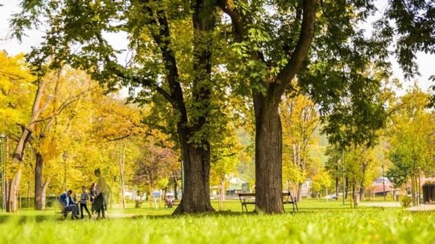 Nearly all studies investigating the effects of natural environments on human health are focused on the amount of a community’s green space.(Unsplash) Nearly all studies investigating the effects of natural environments on human health are focused on the amount of a community’s green space.(Unsplash)