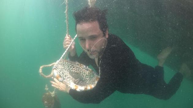 No one dives commercially for pearls anymore but some people like Suwaidi still do it for the love of it. Feet first, he jumps into the water to pick up oysters off the seabed, sinking to the seafloor -- weighed down by a rock attached to a rope -- where he starts to gather and pick up oysters and place them in a basket hanging from his neck. (Guiseppe Cacace / AFP) 