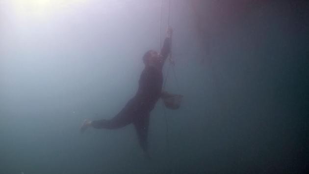 The oysters live in cages suspended from buoys that float close to the shore. “I lived and grew up around my grandfather,” the 45-year-old told AFP. “He taught me a lot about pearl diving... because of my continuous stream of questions and requests for more information and stories of adventure.” (Guiseppe Cacace / AFP) 