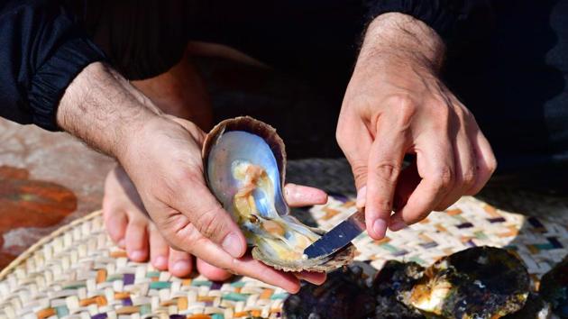A pearl’s value depends on its size, shape, colour -- white, cream, grey, yellow, blue, lavender -- lustre, surface and nacre quality. They can be sold for anywhere between 200 AED ($55) and 50,000 AED ($13,612), according to Suwaidi. Round pearls tend to be most valuable, but pear, oval and irregular shaped ones are also sought after.  (Guiseppe Cacace / AFP) 