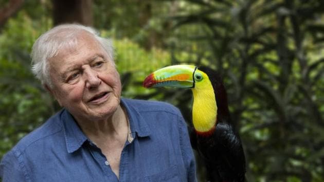 A still from Life in Colour, coming to Netflix in 2021. Attenborough has been knighted, honoured and awarded around the world for doing more than perhaps any other individual, as one panel put it, to reveal the wonders of the natural world to us. But many naturalists say the pristine habitats depicted in his films have, for decades, failed to reflect reality.