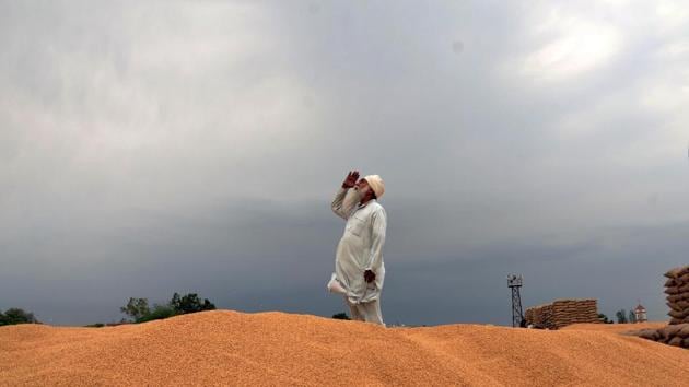 India’s wheat production could jump to a second consecutive annual record in 2020 as the wettest monsoon in 25 years is set to help farmers in expanding the area under the winter-sown crop while also boosting yields. But that higher production would add to India’s already swelling inventories, potentially forcing the world’s second-biggest wheat producer to ramp up procurement of the grain from farmers and provide incentives for overseas sales to support local prices. (Sameer Sehgal / HT Archive) India’s wheat production could jump to a second consecutive annual record in 2020 as the wettest monsoon in 25 years is set to help farmers in expanding the area under the winter-sown crop while also boosting yields. But that higher production would add to India’s already swelling inventories, potentially forcing the world’s second-biggest wheat producer to ramp up procurement of the grain from farmers and provide incentives for overseas sales to support local prices. (Sameer Sehgal / HT Archive)
