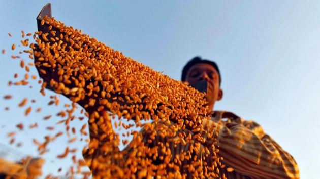 “India could easily produce more than 100 million tones but could not export even 1 million tonnes unless government provides subsidy for exports,” a dealer said. India exported 226,225 tonnes wheat in the 2018/19 fiscal year that ended on March 31, compared to a record 6.5 million tonnes in 2012/13, according to government data. (Amit Dave / REUTERS File) “India could easily produce more than 100 million tones but could not export even 1 million tonnes unless government provides subsidy for exports,” a dealer said. India exported 226,225 tonnes wheat in the 2018/19 fiscal year that ended on March 31, compared to a record 6.5 million tonnes in 2012/13, according to government data. (Amit Dave / REUTERS File)