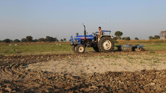 Rainfall also lifted the water level in India’s key reservoirs to 86% of capacity compared to 61% a year ago and a 10-year average of 64%, according to government data. Only one wheat crop is grown in India each year, with plantation starting in late October and harvesting in March. (Parveen Kumar / HT Archive) 