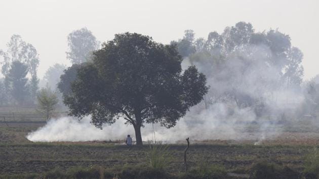 Fumes of smoke are seen due to stubble burning, as a farmer looks on, near Meham Sugar Mills in Rohtak, Haryana. (Yogendra Kumar / HT Photo)