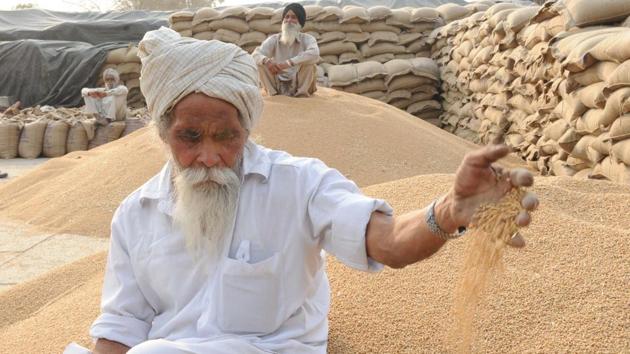 India grew 102.19 million tonnes of wheat in 2019. The country received monsoon rains during the June-September season that were 10% above average and the rainfall continued during October and November, increasing soil moisture levels required for crop sowing. (Bharat Bhushan / HT Archive) India grew 102.19 million tonnes of wheat in 2019. The country received monsoon rains during the June-September season that were 10% above average and the rainfall continued during October and November, increasing soil moisture levels required for crop sowing. (Bharat Bhushan / HT Archive)