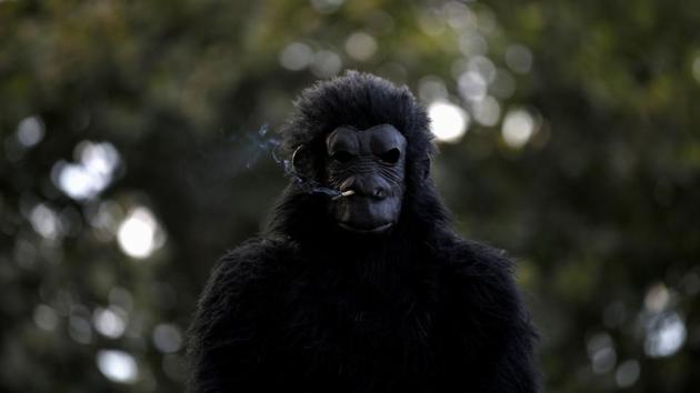 A man dressed in an ape costume smokes as demonstrators protest against Chile’s government, in Santiago, Chile. (Ivan Alvarado / REUTERS)