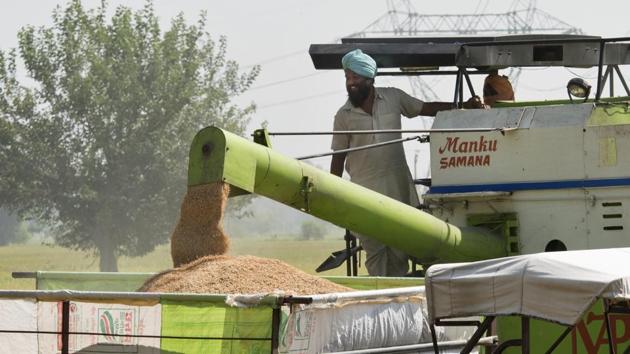 New Delhi sets minimum support prices (MSP) for nearly two dozen crops to set a benchmark, but state agencies mainly buy rice and wheat at those prices. For 2020, India has lifted the price at which it buys locally produced new-season wheat by 4.6% to 19,250 rupees ($268.22) a tonne. “After the hike in MSP, wheat planting has become even more attractive for farmers,” Galipelli said. (Sanchit Khanna / HT Archive) New Delhi sets minimum support prices (MSP) for nearly two dozen crops to set a benchmark, but state agencies mainly buy rice and wheat at those prices. For 2020, India has lifted the price at which it buys locally produced new-season wheat by 4.6% to 19,250 rupees ($268.22) a tonne. “After the hike in MSP, wheat planting has become even more attractive for farmers,” Galipelli said. (Sanchit Khanna / HT Archive)