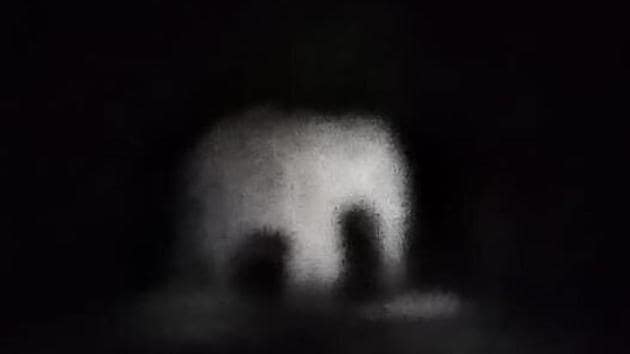 The image captures an elephant. (Twitter/@Parveen Kaswan) The image captures an elephant. (Twitter/@Parveen Kaswan)