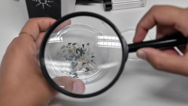 A biologist looks at microplastics found in sea species at the Hellenic Centre for Marine Research. Tsagari said her team has found litter, most of it plastic, in about 75% of loggerhead sea turtles tested. Overall, they have found plastic ingestion in between 20 and 45% of species tested, which include fish and mussels. (Louisa Gouliamaki / AFP)