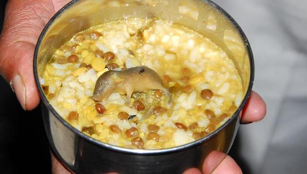 The rat was found in a bowl of cooked lentils on Tuesday afternoon when school children were having food.(HT Photo)