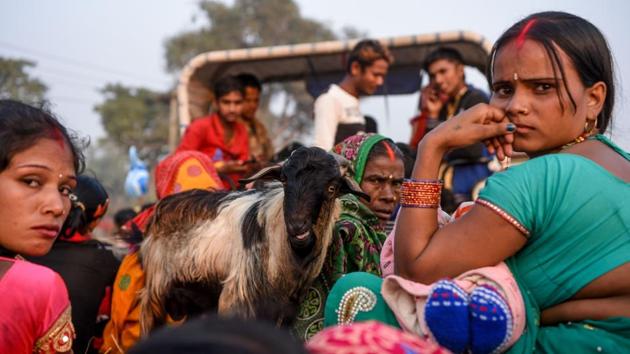 Devotees look on as they travel with a goat. According to legend, the first sacrifices here were conducted several centuries ago when goddess Gadhimai appeared to a prisoner in a dream and told him to offer blood and establish her temple. When he awoke, his shackles had fallen open and he was able to leave the prison and build the temple, where he sacrificed animals to give thanks, so the legend goes. (Prakash Mathema / AFP)